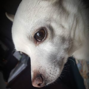 Meet your Posher, Jon